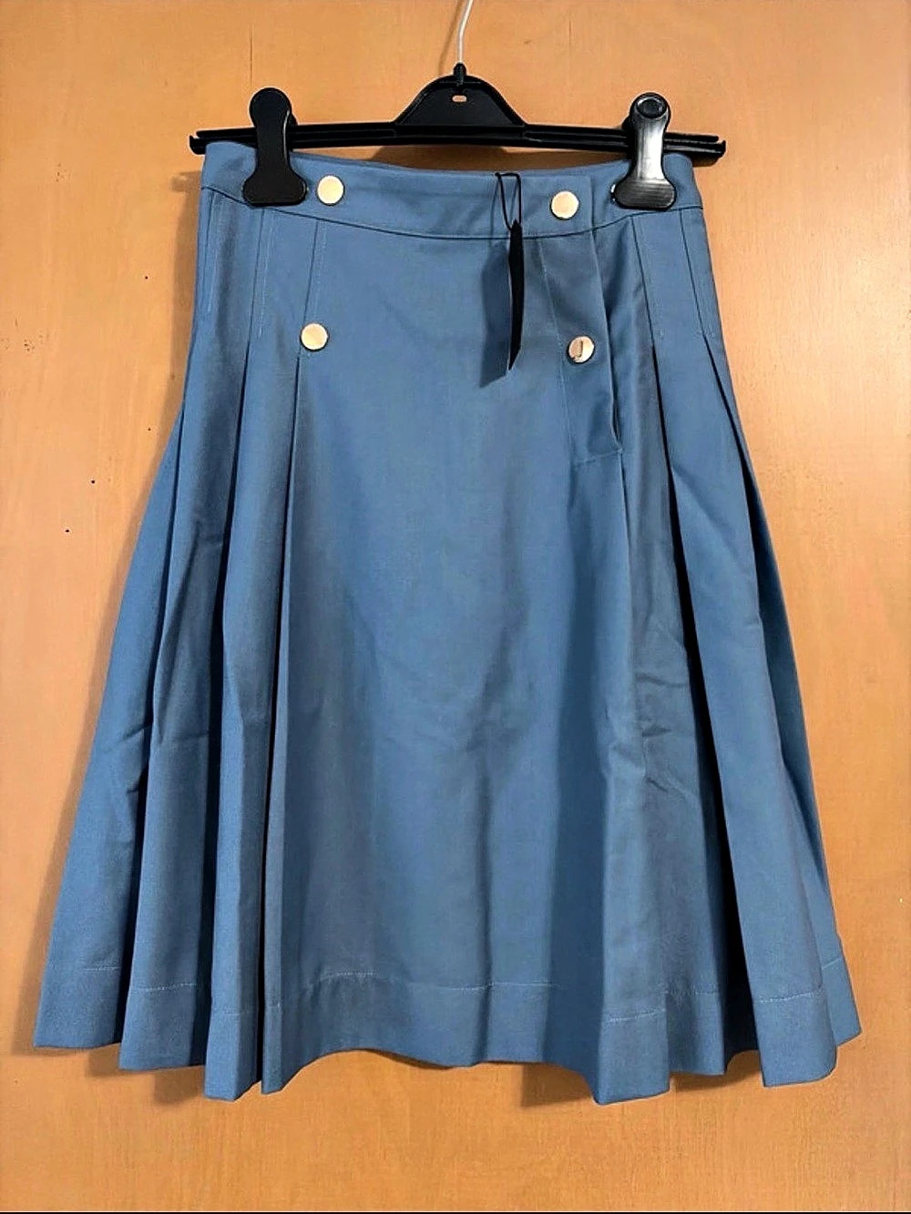 Aleeza Paris Pleated Skirt in Blue Size XS NWT
